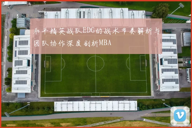 和平精英战队EDG的战术节奏解析与团队协作深度剖析MBA