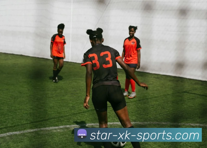 xk星空官网平台生态图